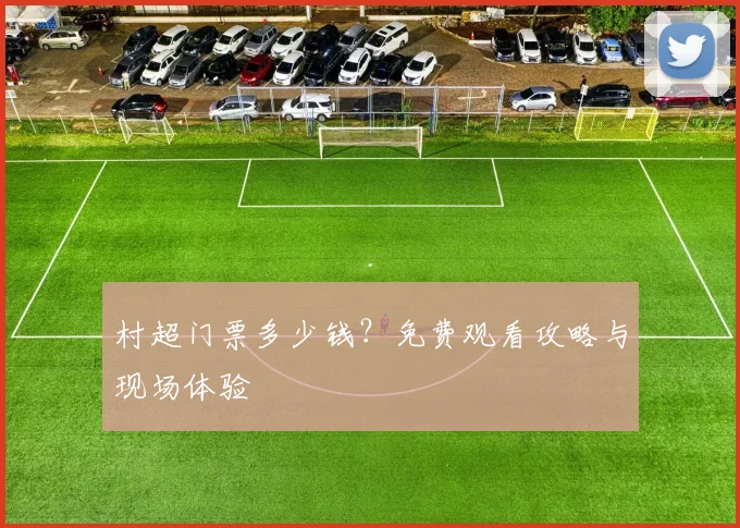 村超门票多少钱？免费观看攻略与现场体验