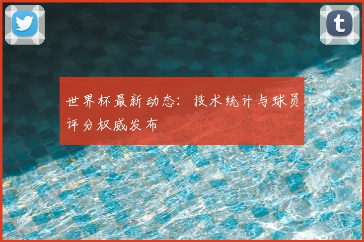 世界杯最新动态：技术统计与球员评分权威发布